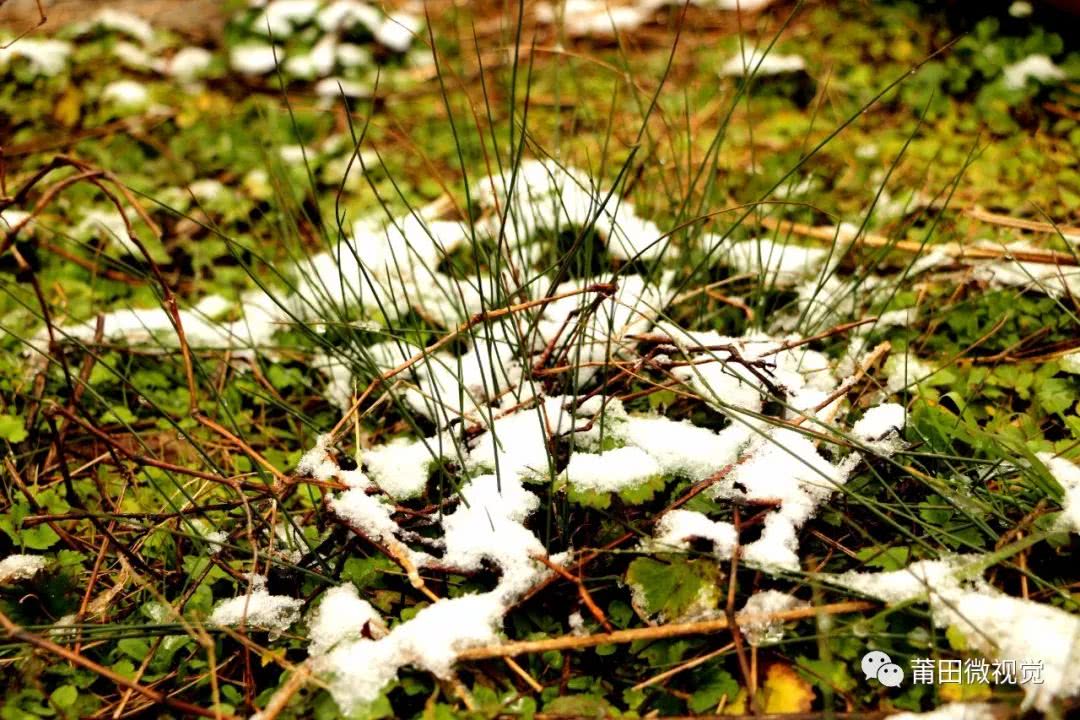【莆田视野】石谷解的雪！