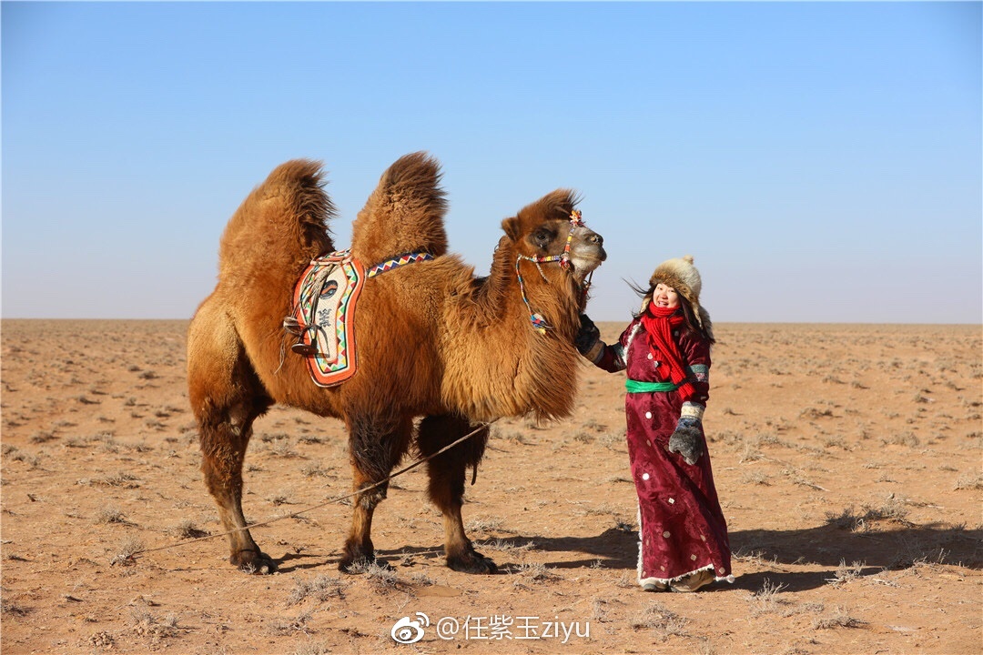 在苏尼特右旗时光穿越做一次草原上古老的游牧民族