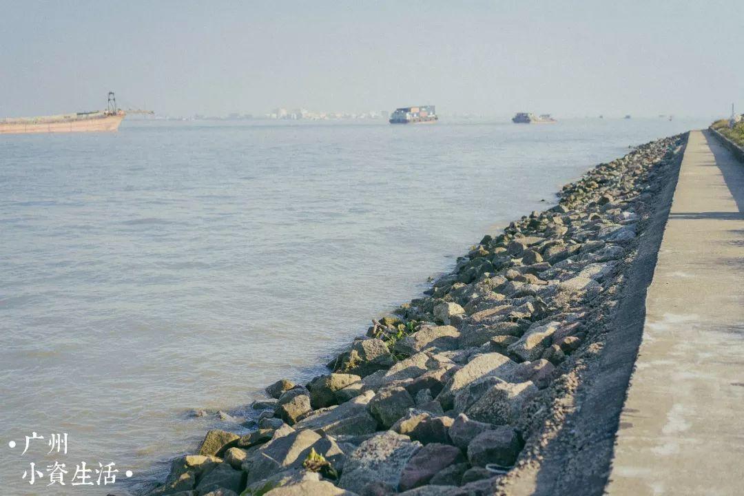 广州适合一日游的海鸥岛, 你去过吗?