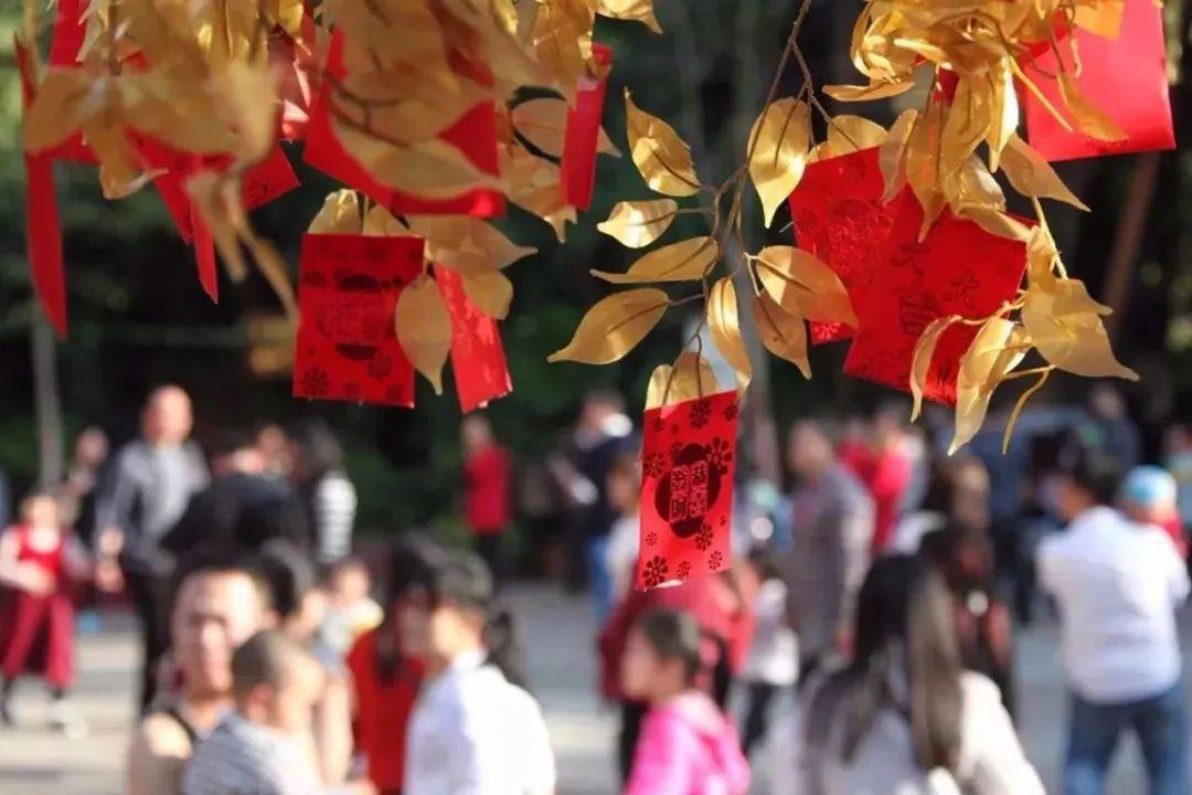 全广东最长的