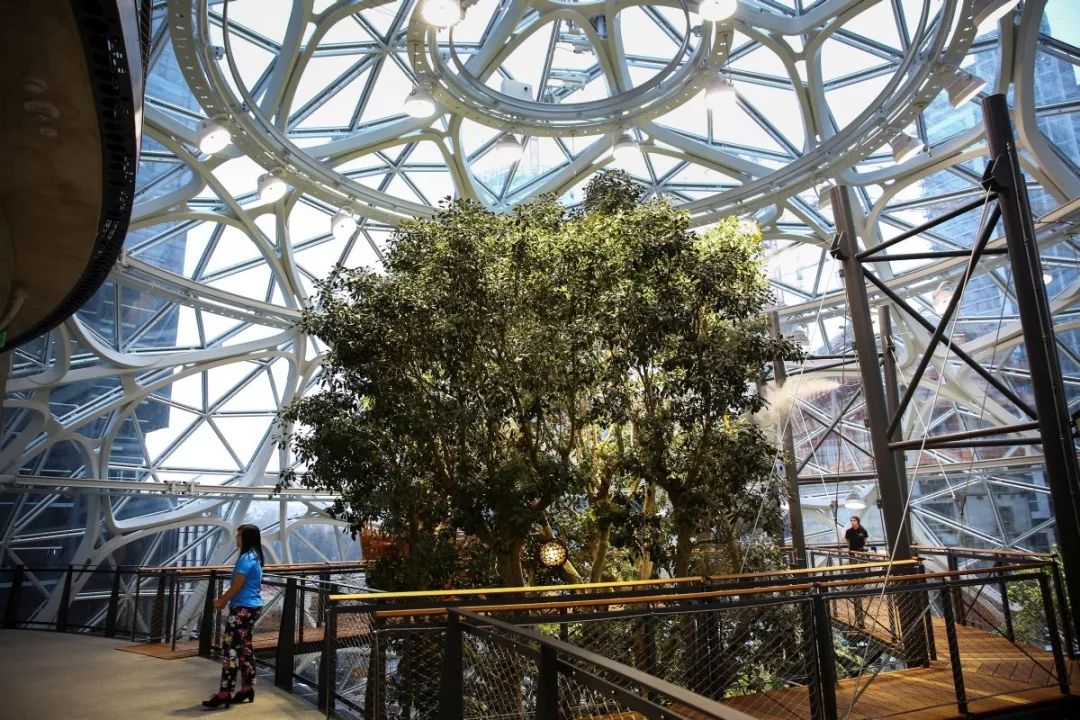 壕任性!40亿美元!4万株植物!亚马逊建了个热带雨林总部