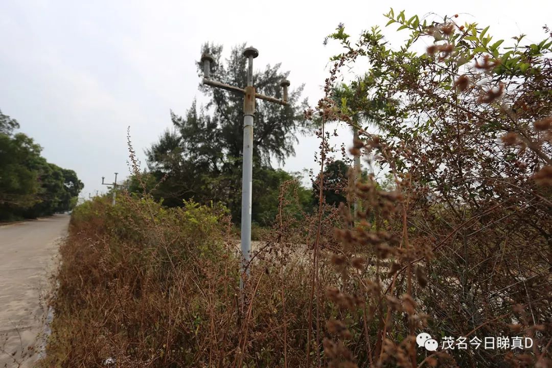 电白虎头山景区，曾经风光一时，现在变成了这样？即将大变身！