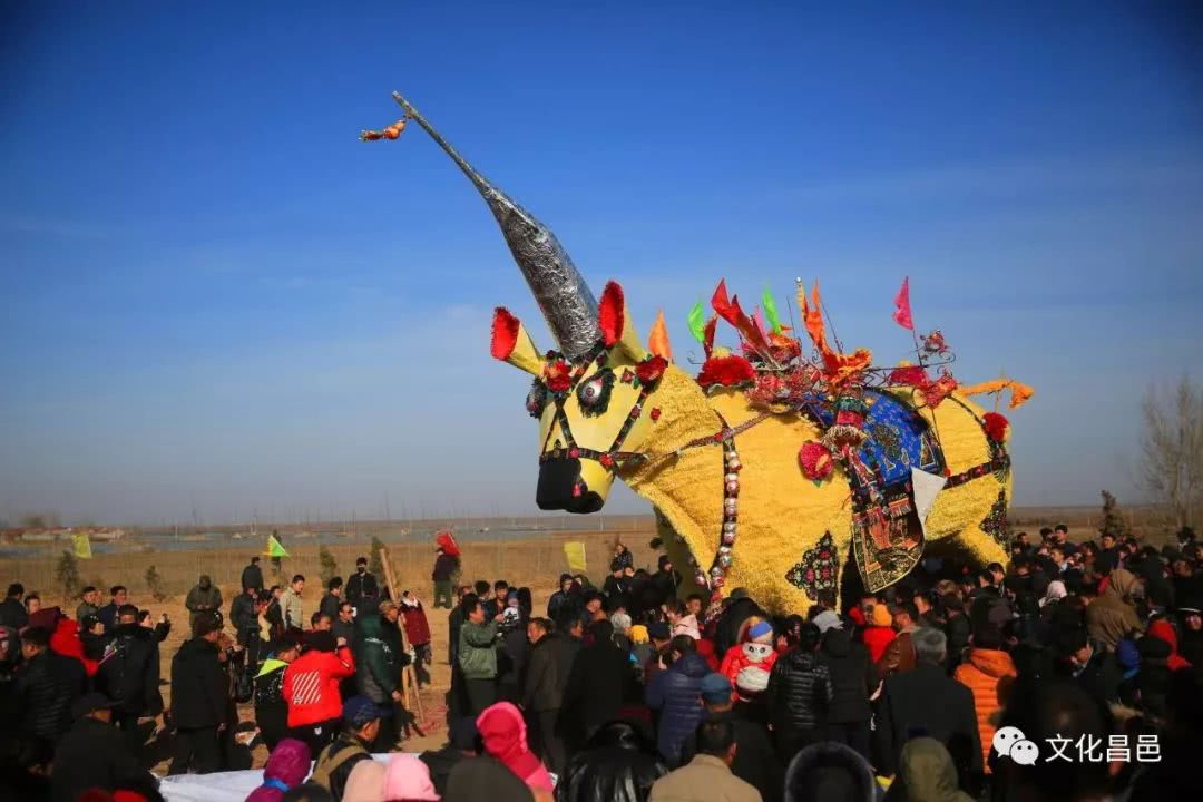 非遗过大年!昌邑市东永安村的孙膑崇拜--发大牛