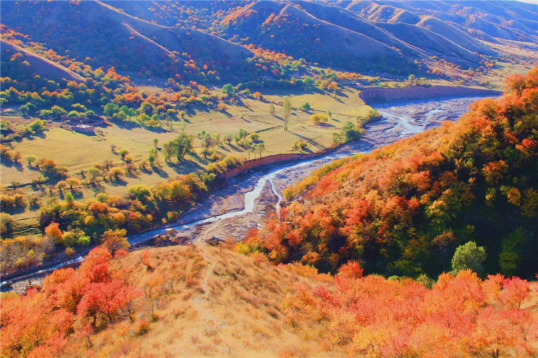 新疆内地与汉族通婚数据