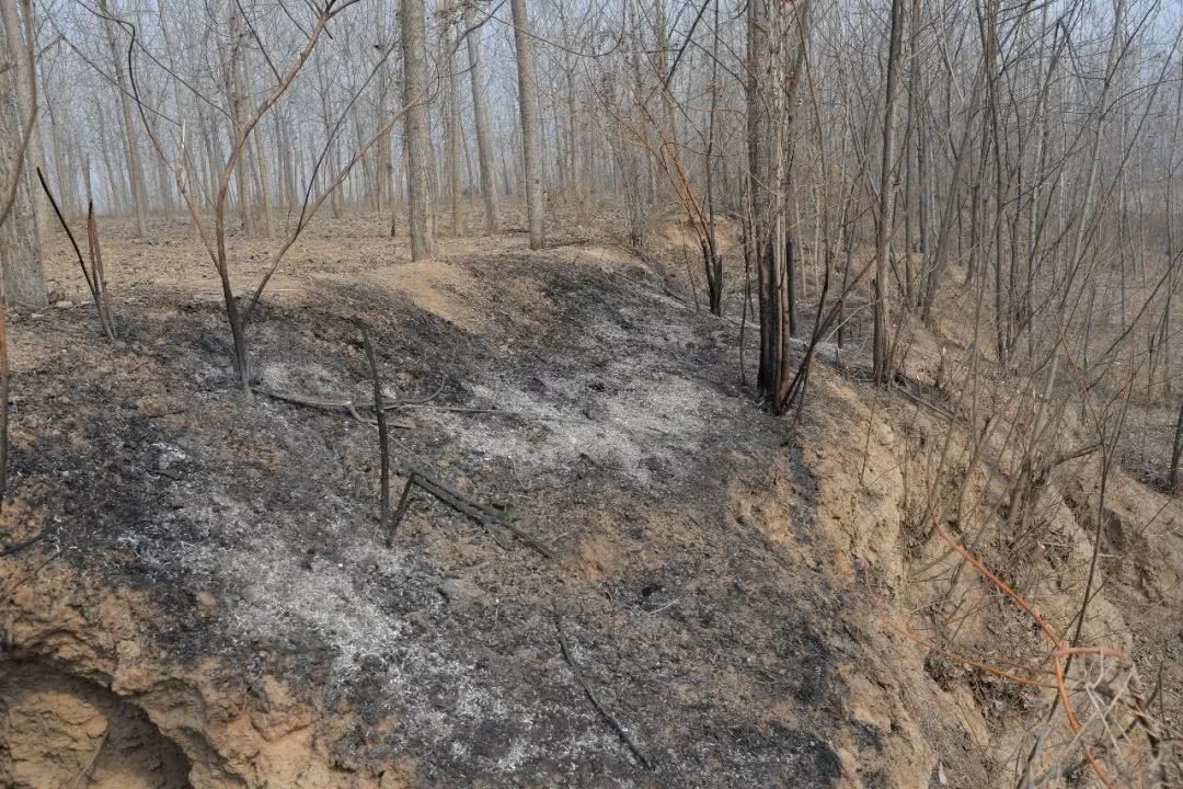 丰县乡村的印象