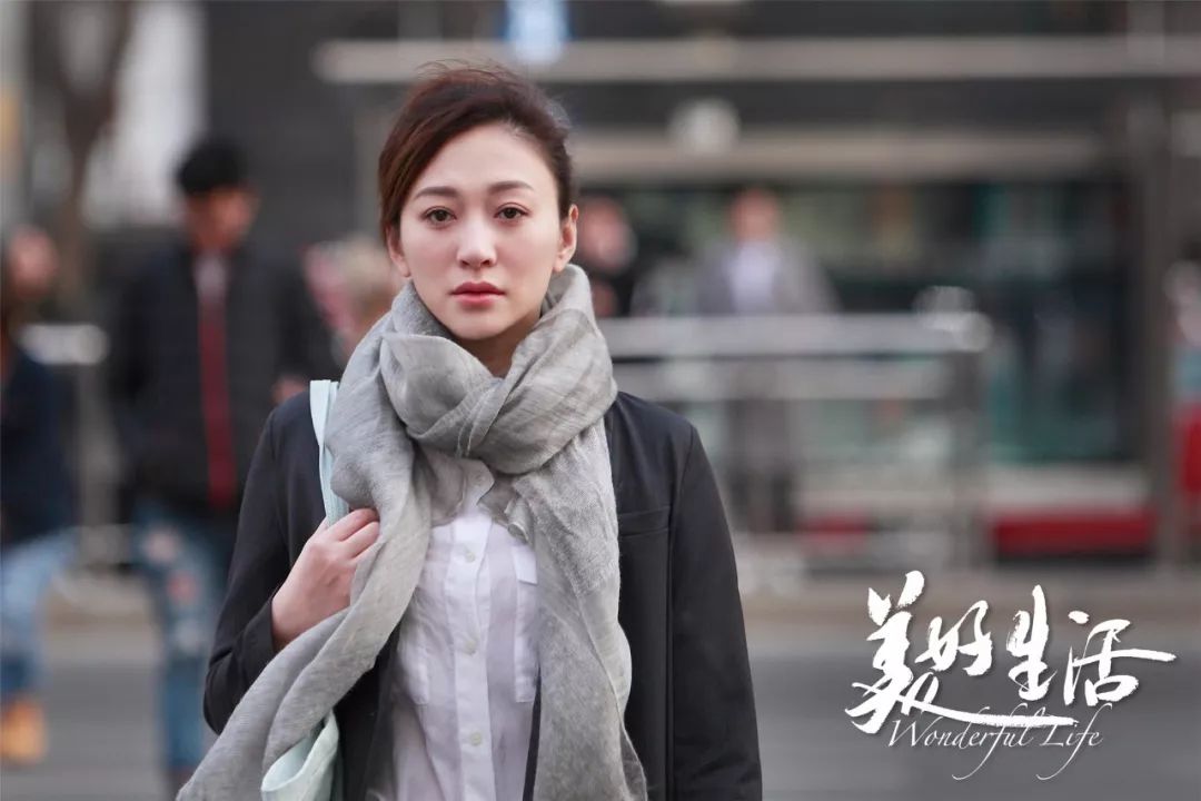 别人几十集的遭遇他只用了4集   张嘉译演的公安局长是林荫这部电视剧