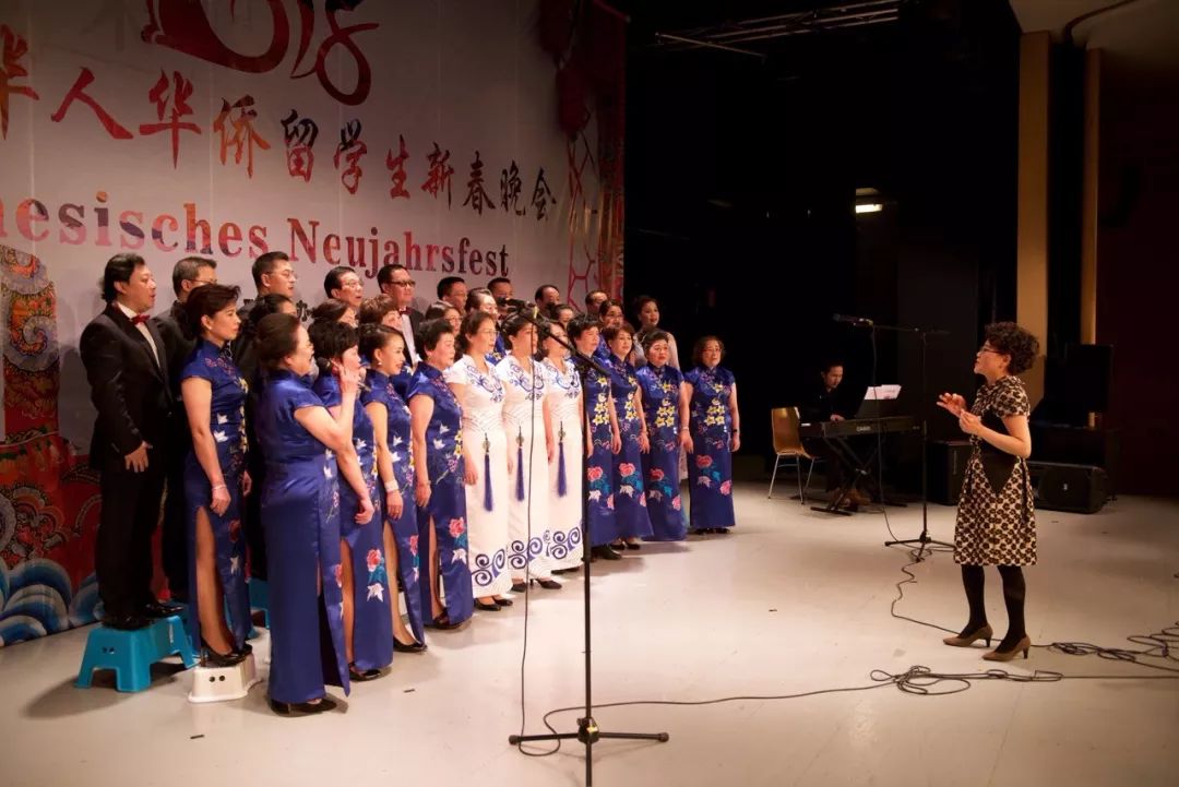 十年春晚初心不改,2018年奥地利华侨华人留学