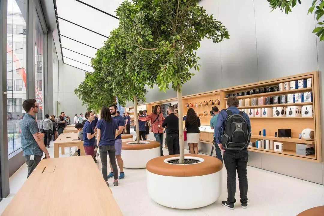 Apple Store中的天才林，图片来自Bloomberg