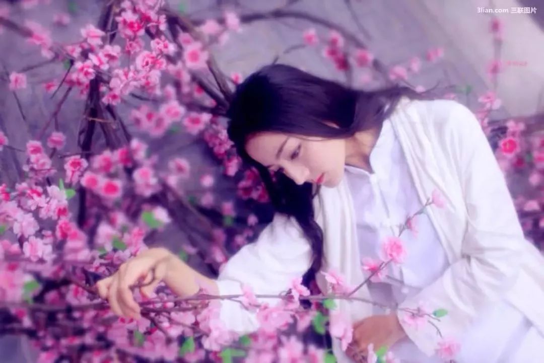 迪丽热巴工作室成立,粉丝团在背后都做了什么