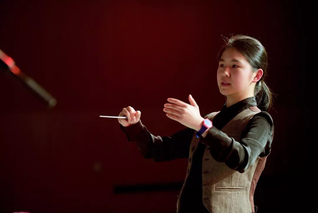 十年春晚初心不改,2018年奥地利华侨华人留学