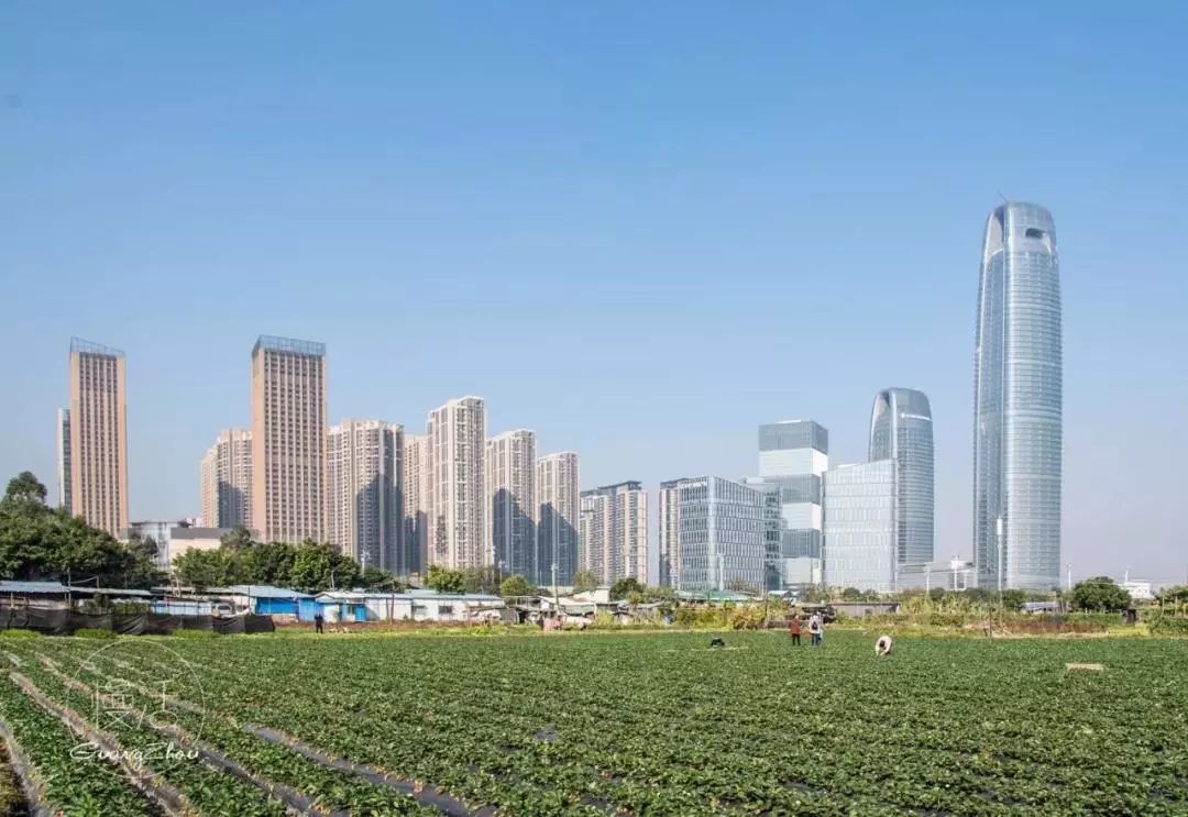 最适合春游的地铁4号线,爽爆!一路吃喝一路玩