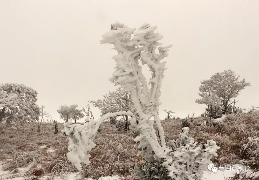 【莆田视野】石谷解的雪！