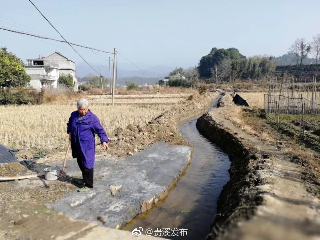 断流25年"双溪渠"再来活水 文坊镇徐家村村民开心作诗