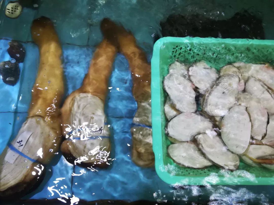 阳江人都期待的万腾海鲜大酒店开业啦