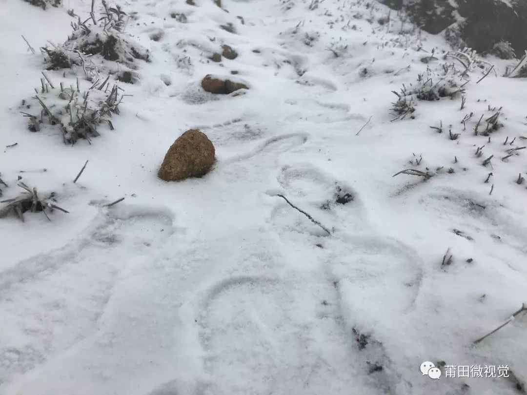 【莆田视野】石谷解的雪！