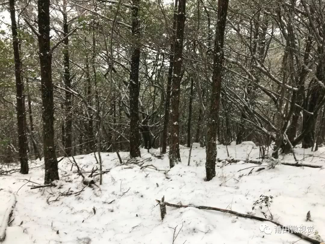 【莆田视野】石谷解的雪！