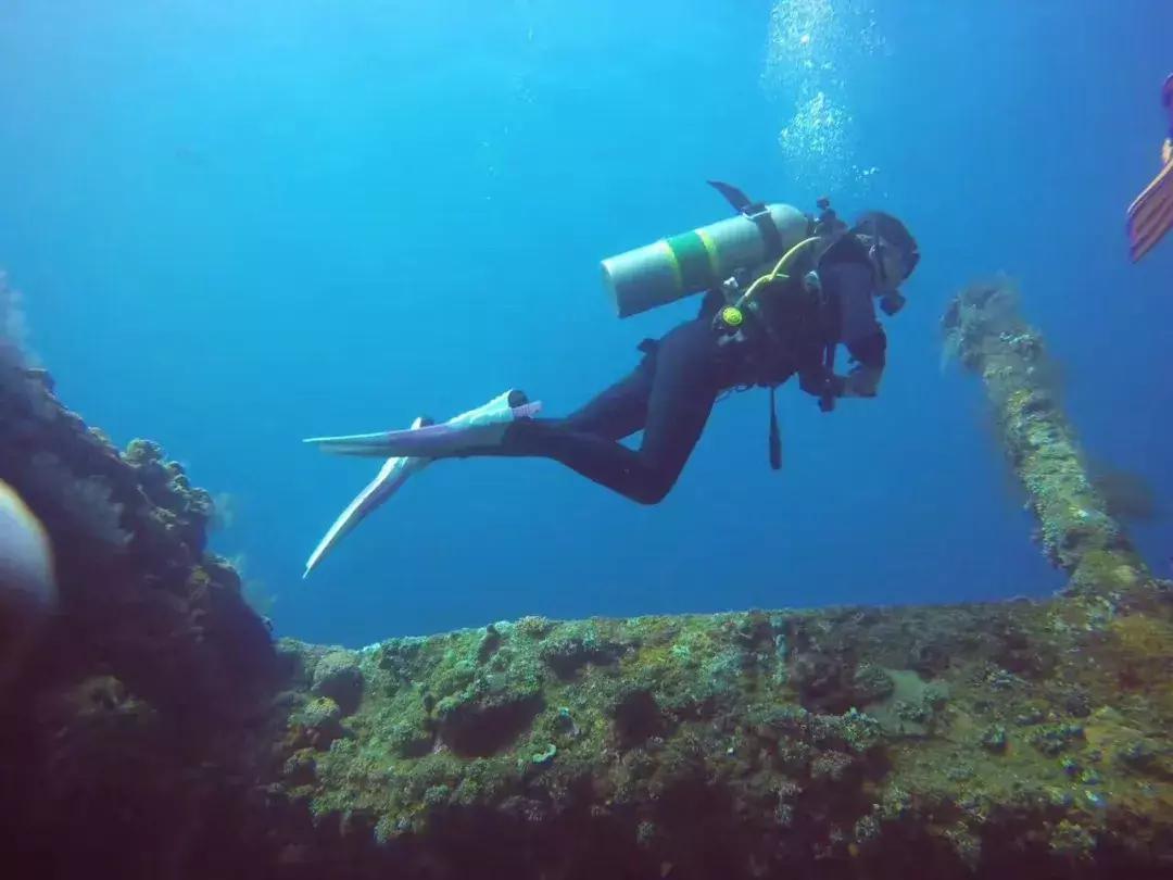 小苍比基尼泳装海底潜水视频曝光, 这次终于知道是a还是e了!