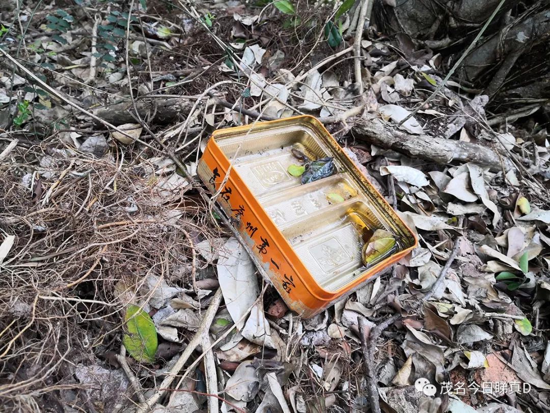电白虎头山景区，曾经风光一时，现在变成了这样？即将大变身！