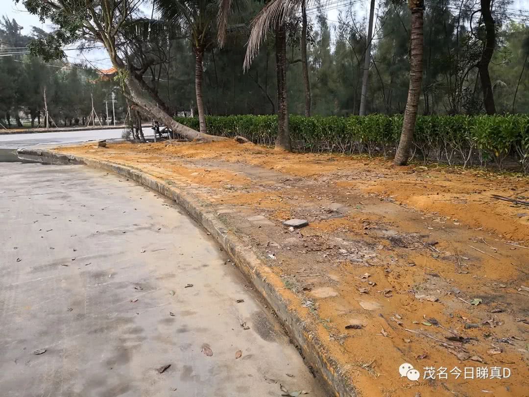 电白虎头山景区，曾经风光一时，现在变成了这样？即将大变身！