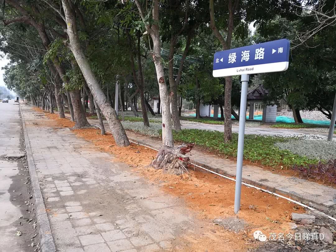 电白虎头山景区，曾经风光一时，现在变成了这样？即将大变身！