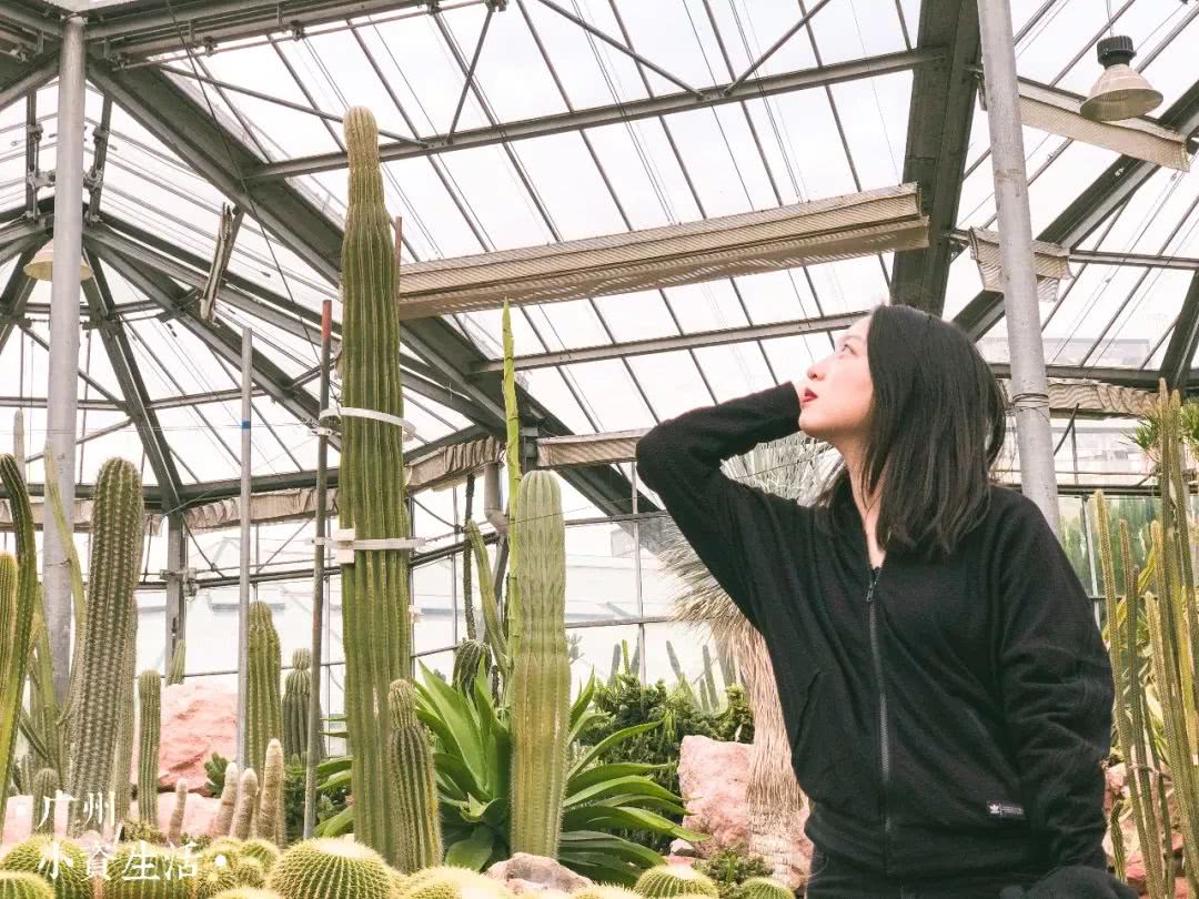 3月8妇女节!广州周边13个景区门票免费或半价