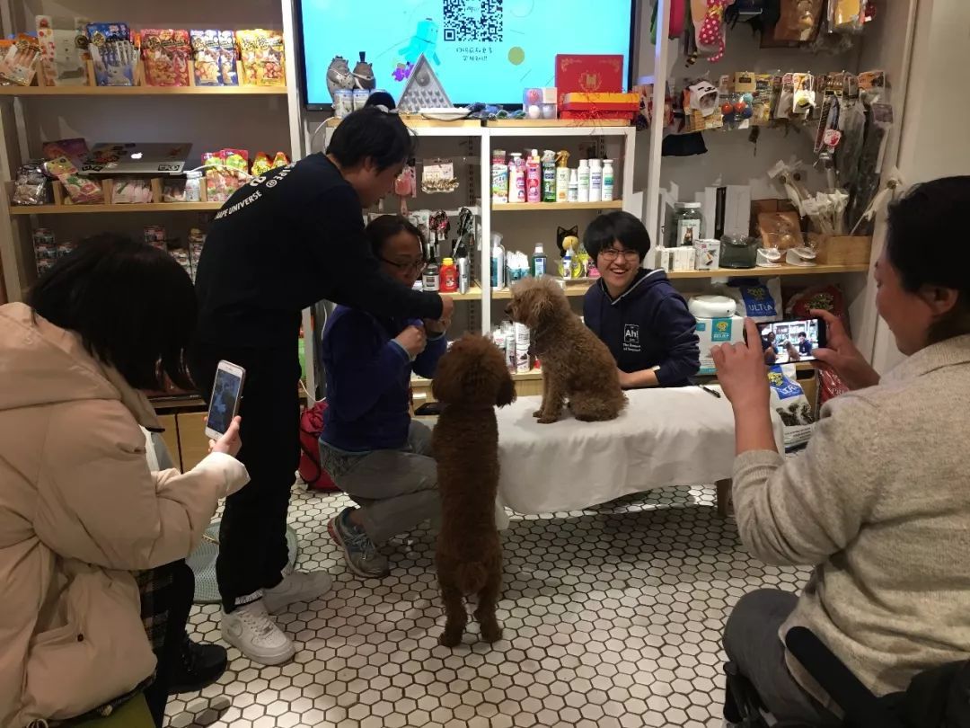 知 | 宠物五官护理、脱敏训练!让你的毛孩子既有