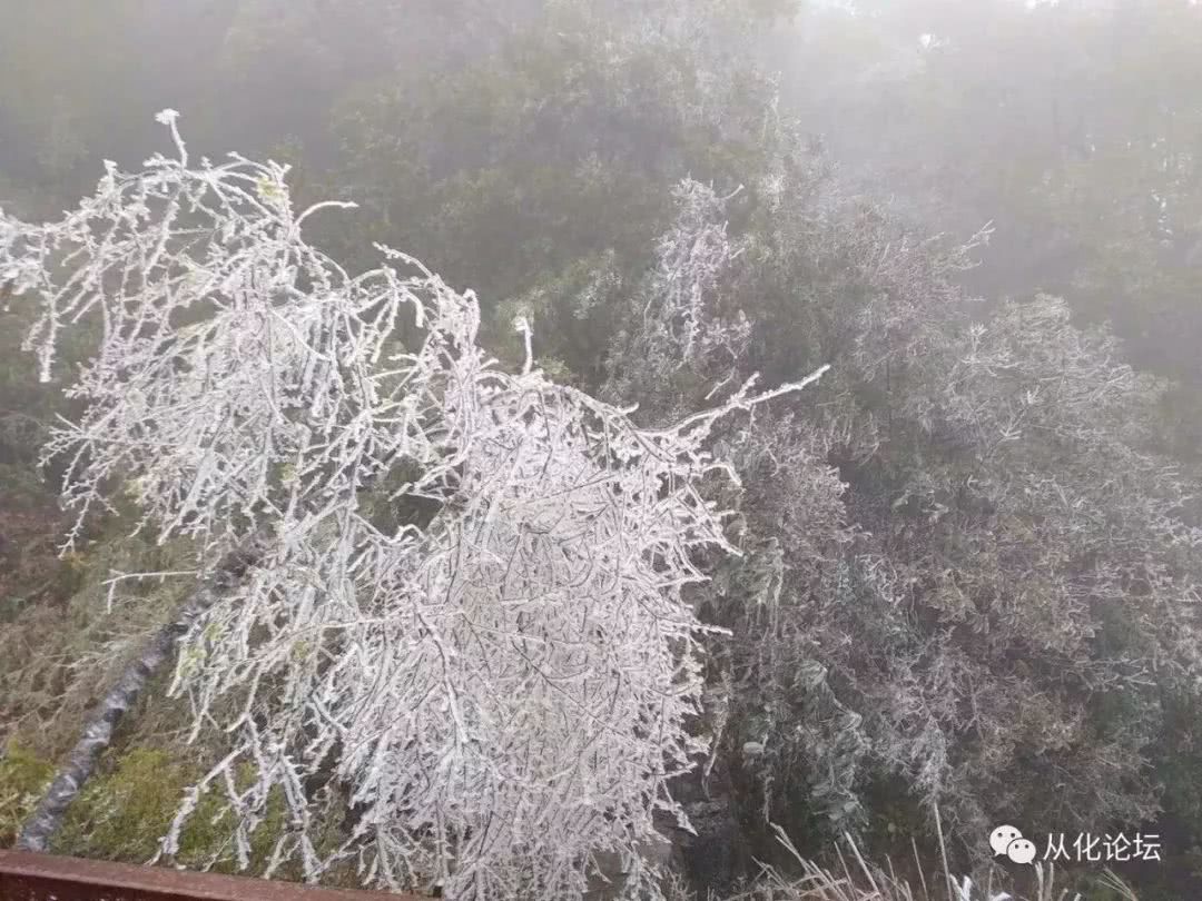 曝光!广州11区GDP出炉!从化一如既往地成为全