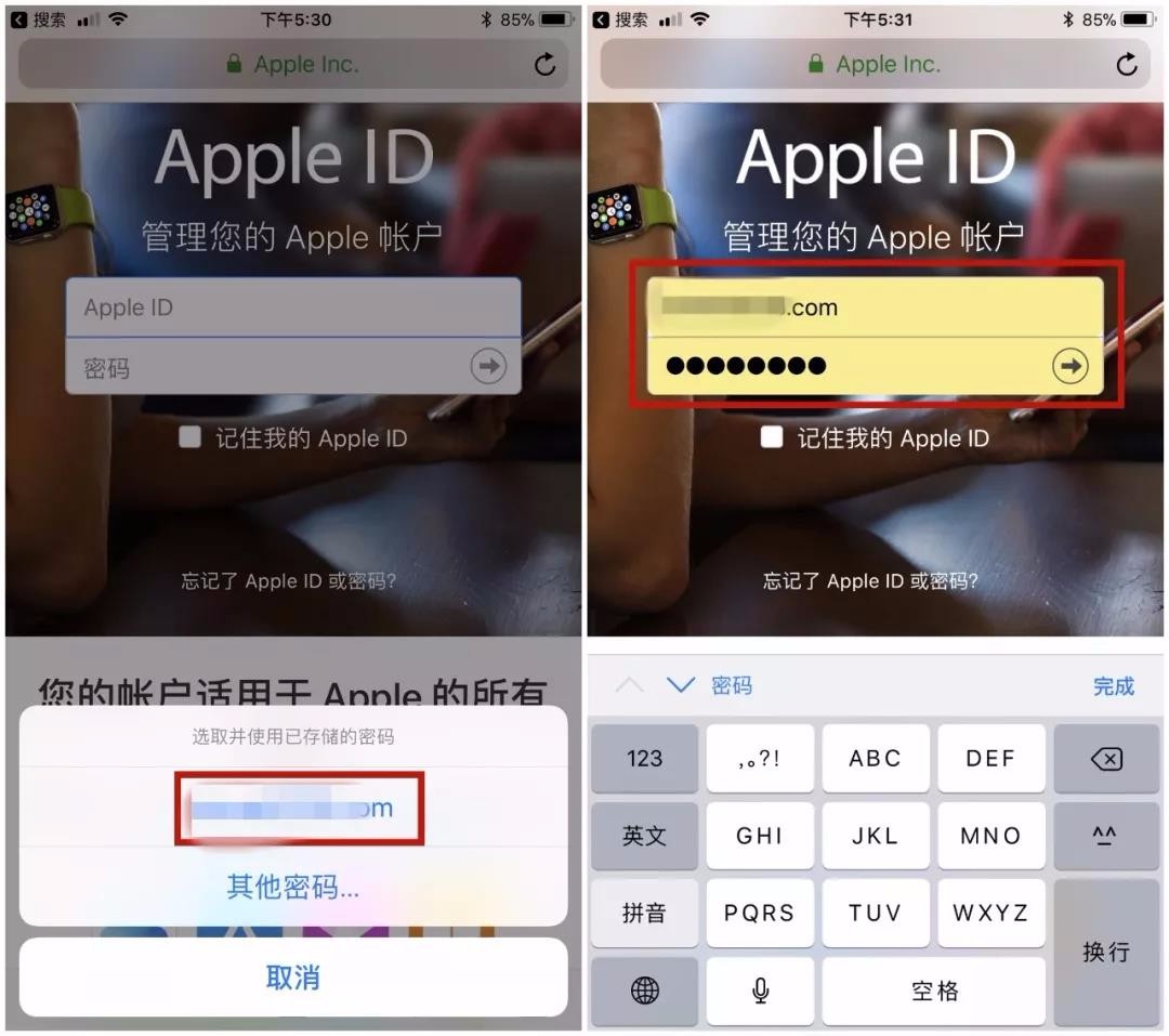 Apple ID 账号密码忘了,怎么办?