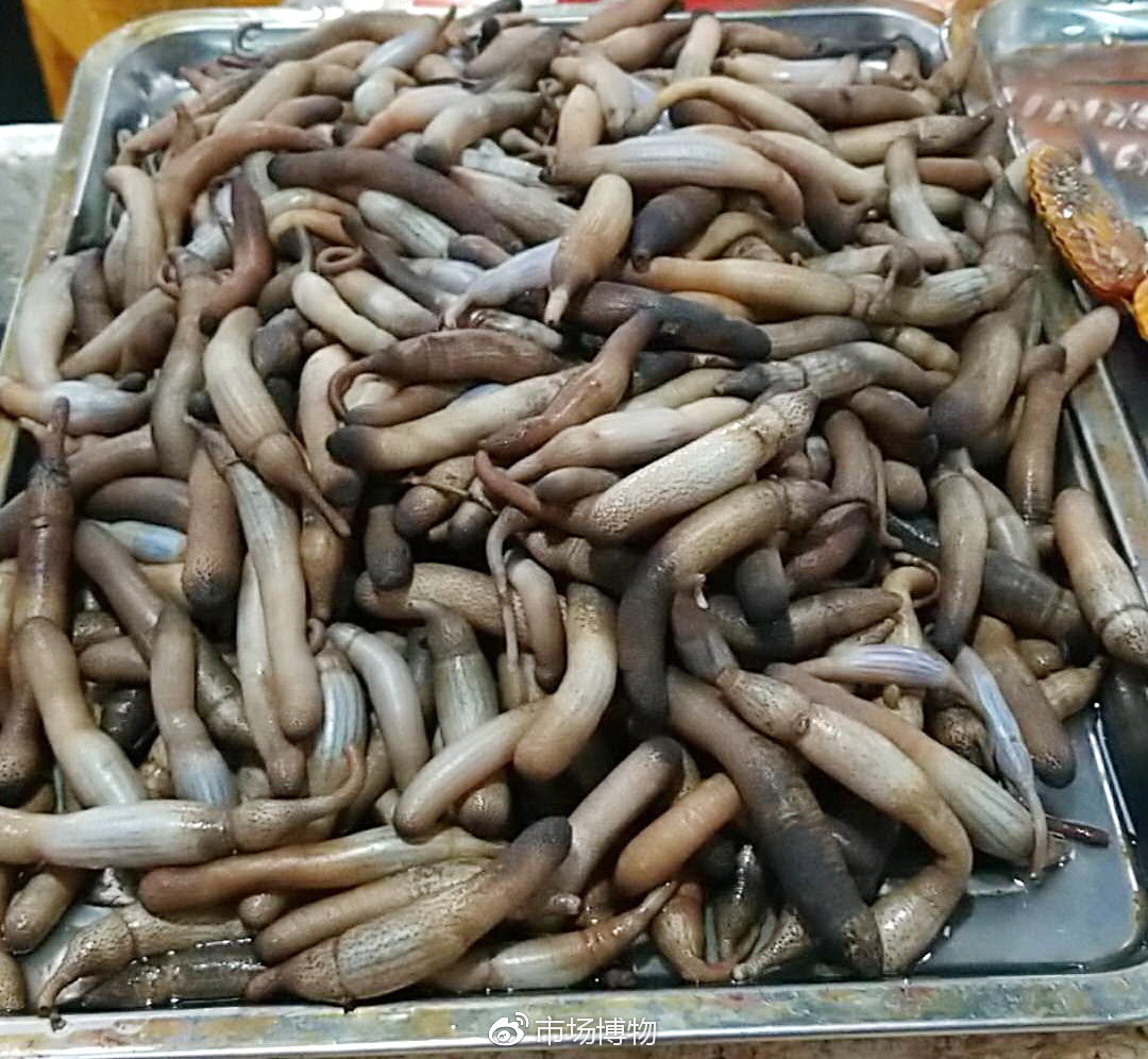 趁圩赶集—海口市美兰板桥海鲜市场,新鲜品种多,但价不算低