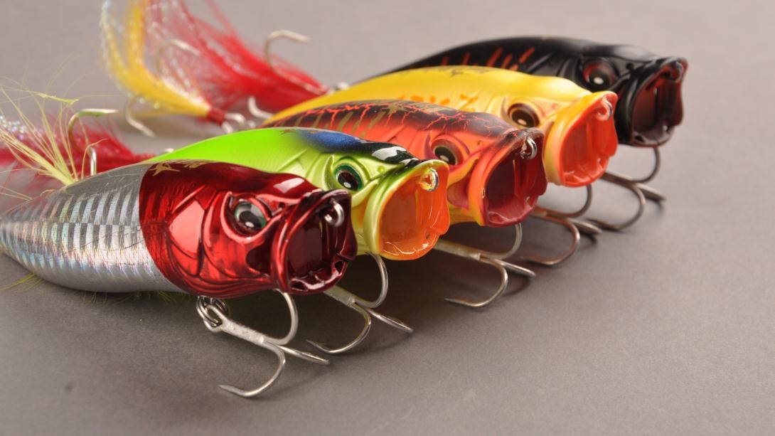 老哥稳全国信息论坛：新手入门完全指南