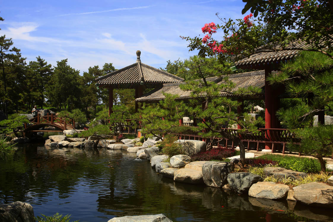中国唐苑,一个高大上的园林式公园,局部秀气,全景大气|唐苑|西安|古树