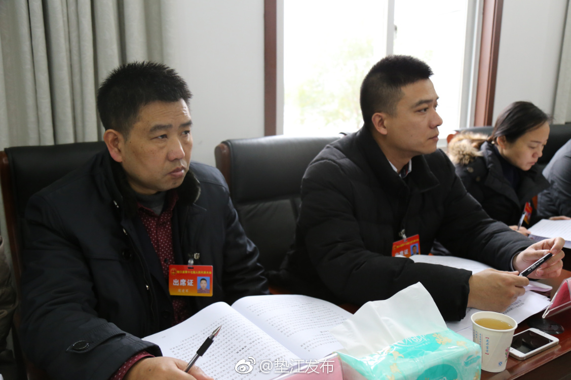 县人大代表分团审议县人民政府关于议案、建议