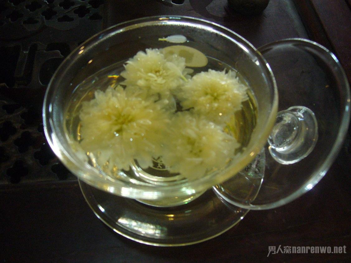 喝菊花茶要注意什么呢? 这些养生常识你一定要知道