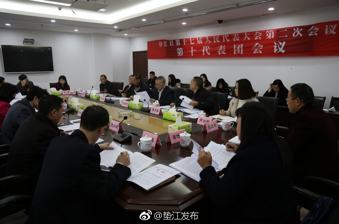 县人大代表分团审议县人民政府关于议案、建议