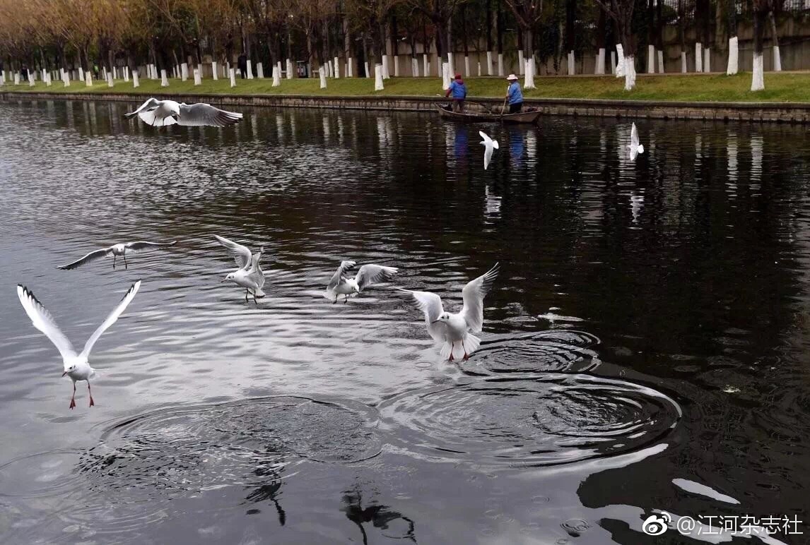 河长制标志着治水向传统回归?!