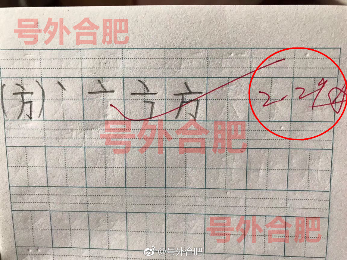合肥一小学语文老师批改学生作业日期打出2月29日 她的世界果然多出了