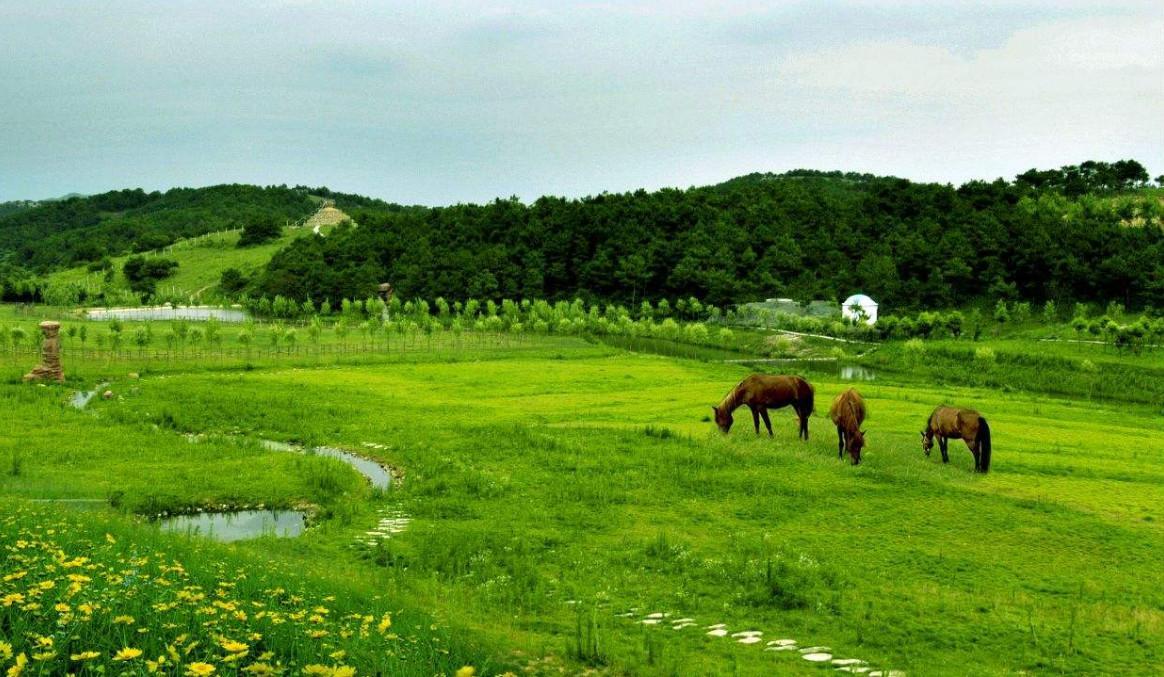 武汉动物园黄鹤楼公园预约超火爆 这些景点你去了才是真赚了