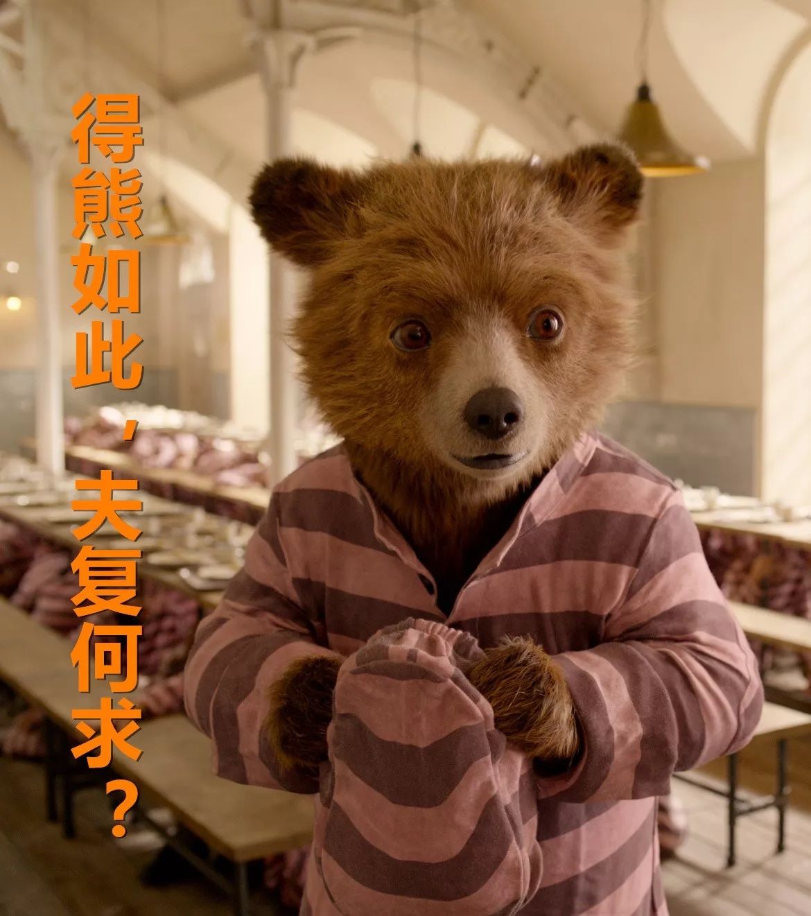 帕丁顿熊2 | 如果世界给你拥抱,那一定是帕丁顿的熊抱