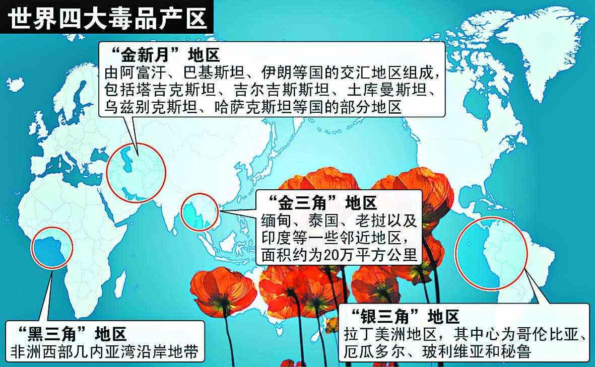巴基斯坦人均gdp_巴基斯坦 人均国内生产总值