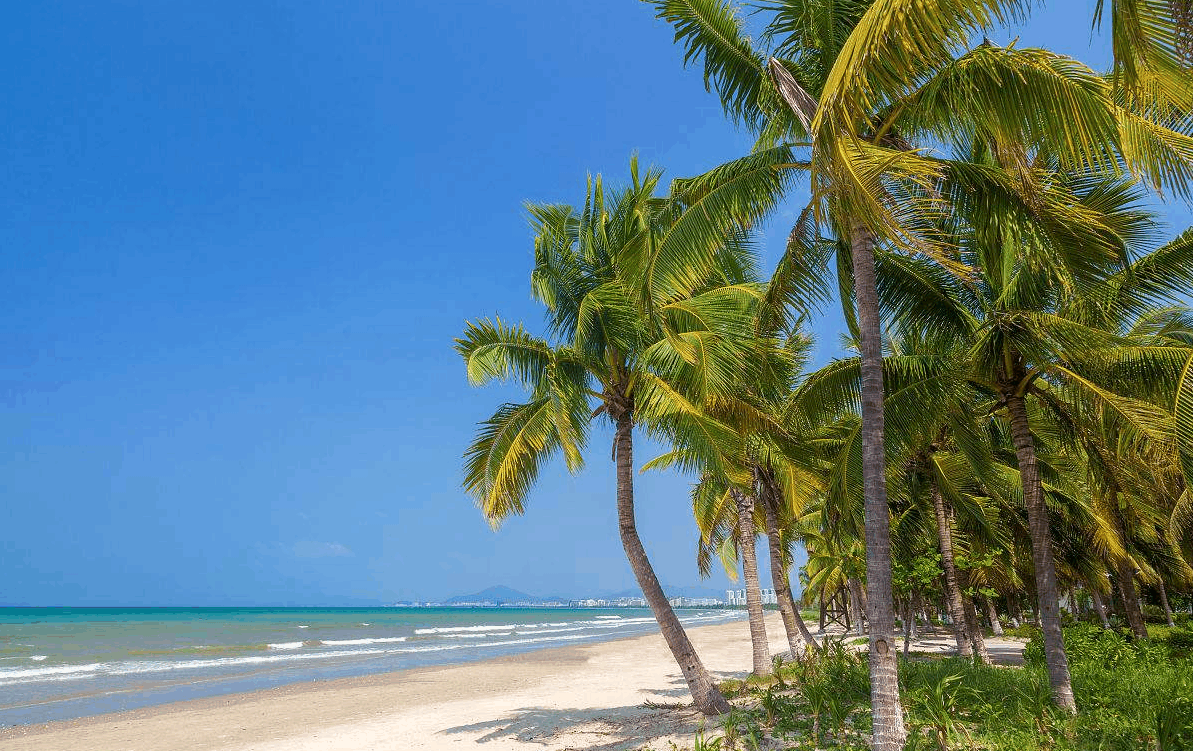 海南省旅游产业工会图片