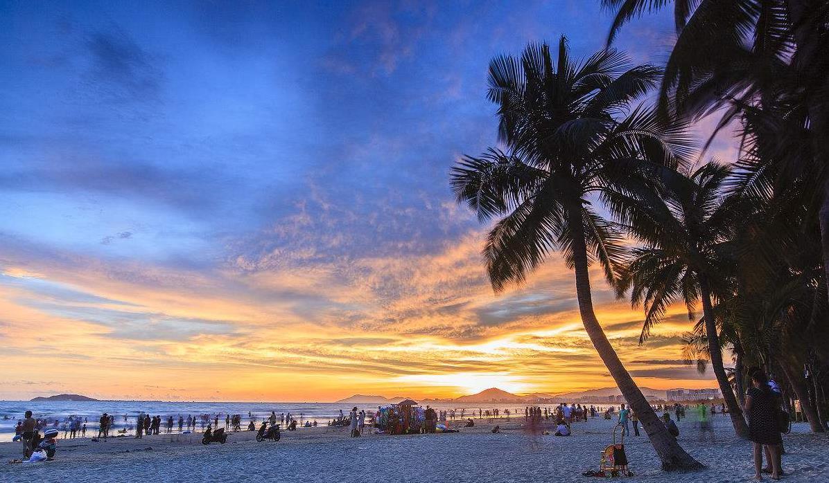 椰梦长廊, 一排排的椰子树成了三亚不同于国内其他城市的专属标记