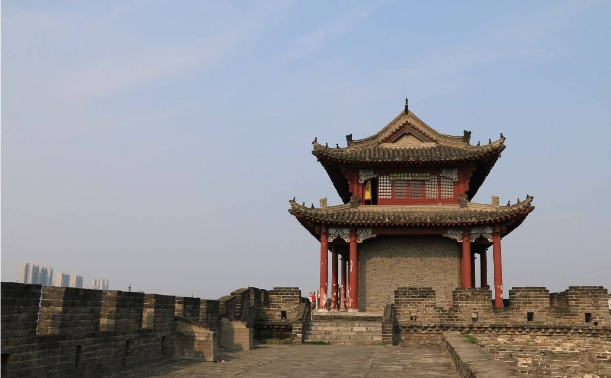 新看点：万花楼凤究竟藏着哪些不为人知的秘密？