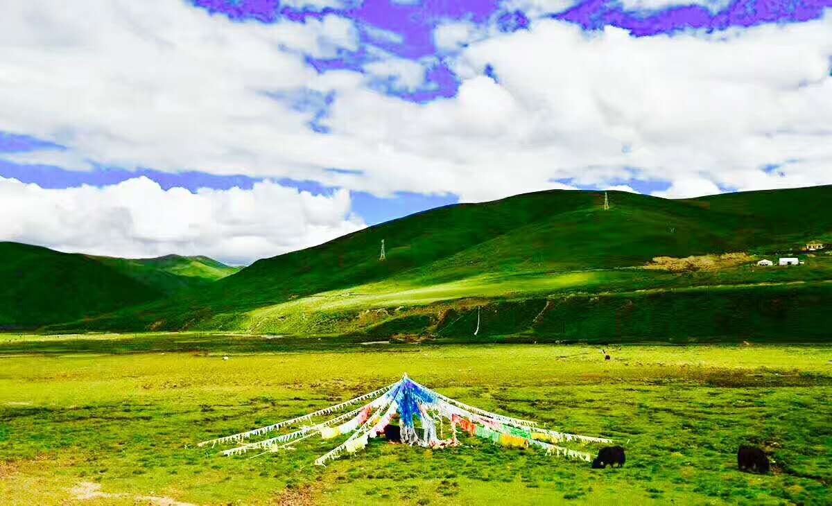 生命就是一场觉醒,人生从40岁才开始