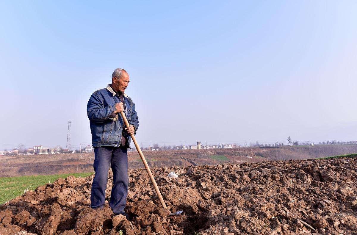 农村土地租出去, 农民每年白拿几千块? 这是个局, 注意别中招了!