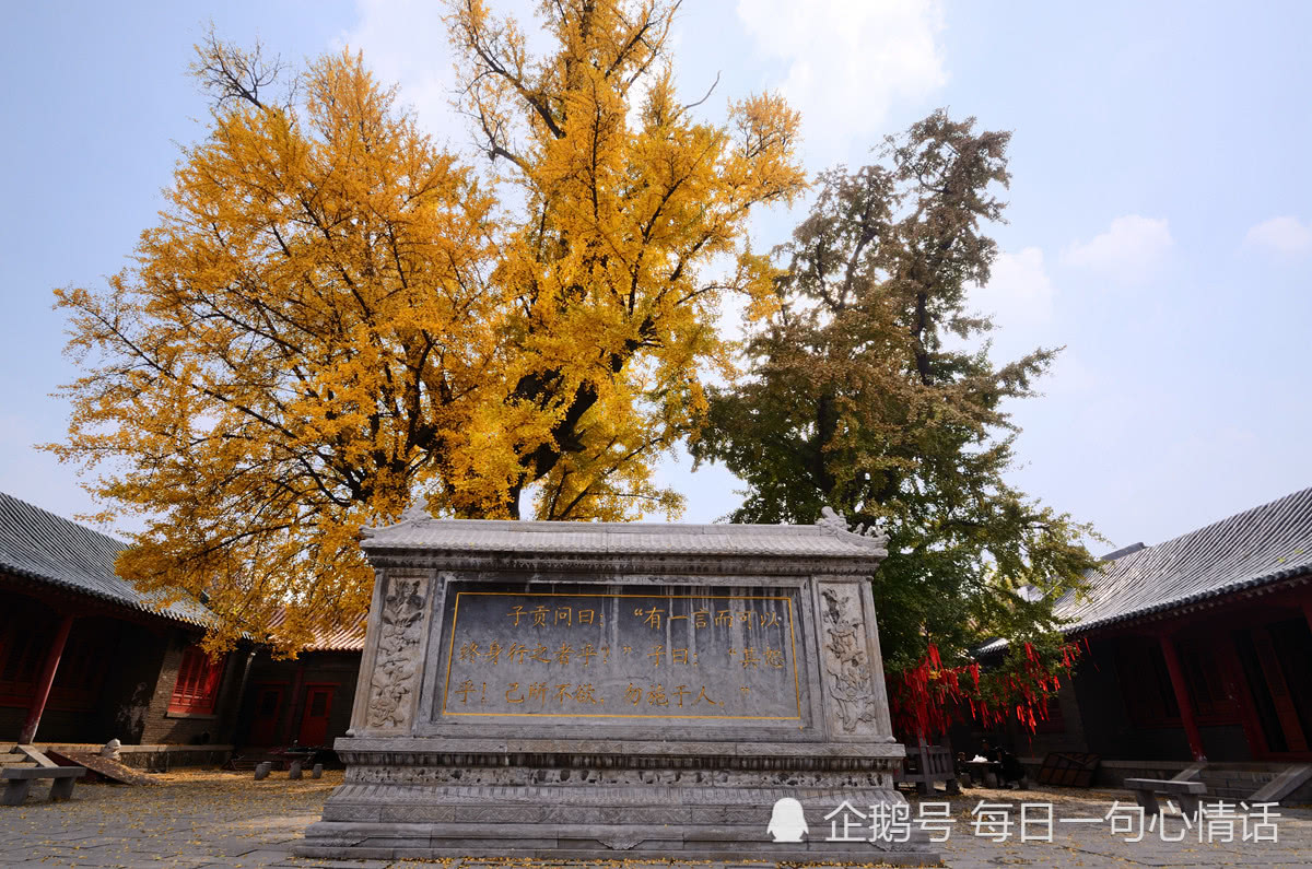 临沂孔庙 又称"临沂文庙"