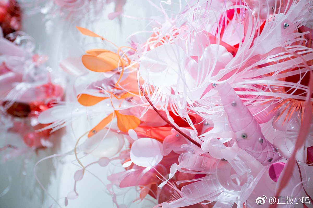 加拿大艺术家Aurora Robson将塑料垃圾制作成