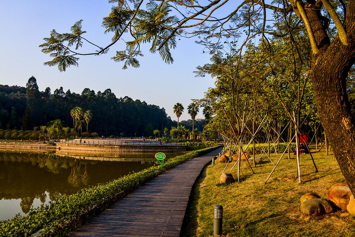 佛山有个桃花之乡, 是佛山新八景之一