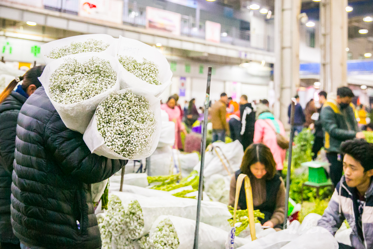 绵阳哪里有卖花的市场？详细选购指南与推荐地点