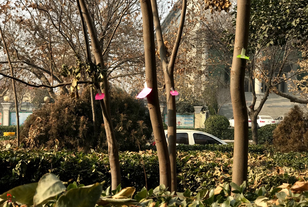 为挽回女友心,小伙路边贴满道歉信,睡车里苦等