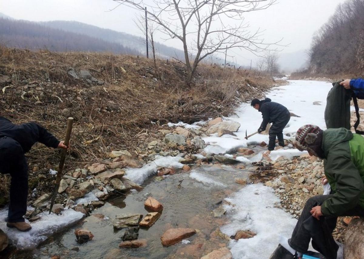 東北人致富的新路子, 冰天雪地里抓「蛤蟆」3元一隻
